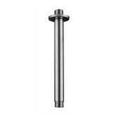 304 douchearm met plafondbevestiging rond 20 cm RVS